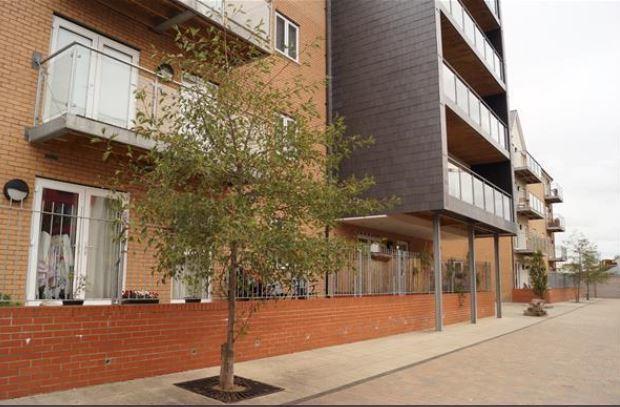 Vetrelax Chelmsford Apartment Exterior photo